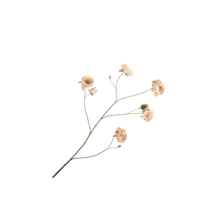 Rosa Spray Brown Pink FL440198BPK