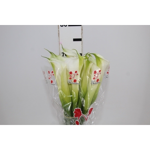 COPO DE LEITE BRANCO 070 CM