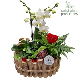 HVPE007 Bologna Large Red