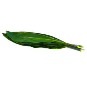 ŽAL CORD GREEN TIE