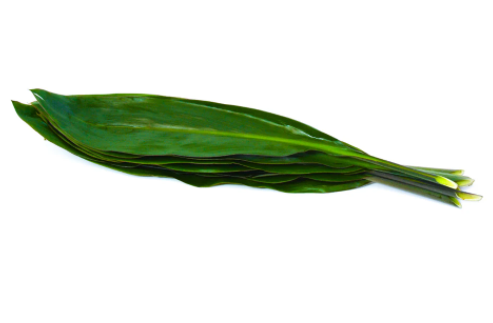 <h4>ŽAL CORD GREEN TIE</h4>