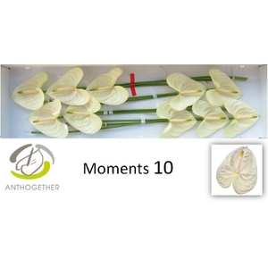 ANTH A MOMENTS 10