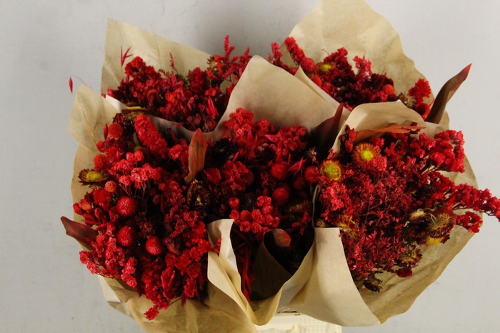 DF Bouquet 50cm Neon Red