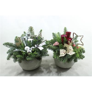 554 Ker Rood/zilver Bolpot