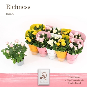 Ro Gemengd Florance Dolc'Amore Hoes Metallic