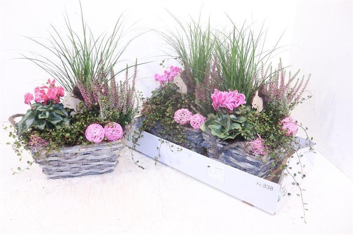 <h4>ARR TUINPLANTEN</h4>