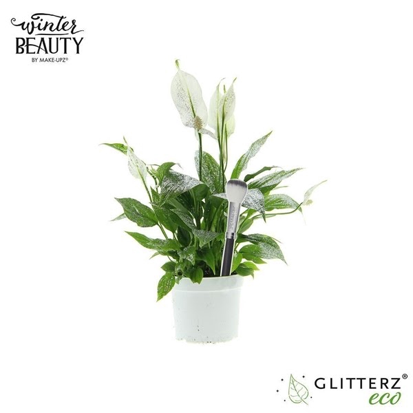 <h4>Spathiphyllum 13 cm Bellini Make Upz Zilveren Glitters</h4>