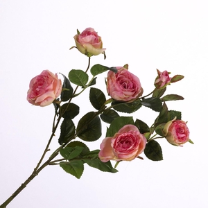 Rosa Spray Pink FL440243PNK