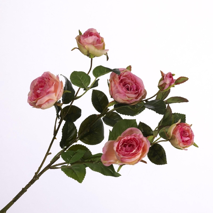 <h4>Rosa Spray Pink FL440243PNK</h4>