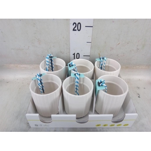 Pot   ...Keramische H%