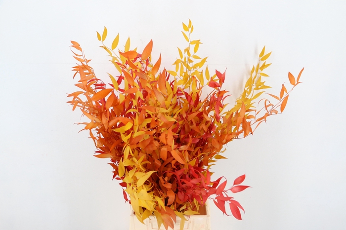 <h4>DROOGBL BEWERKT H%</h4>