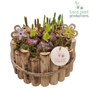 HHTM002 Milano Large Bolmix