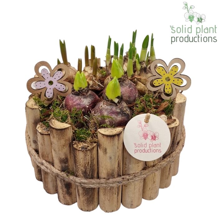 <h4>HHTM002 Milano Large Bolmix</h4>