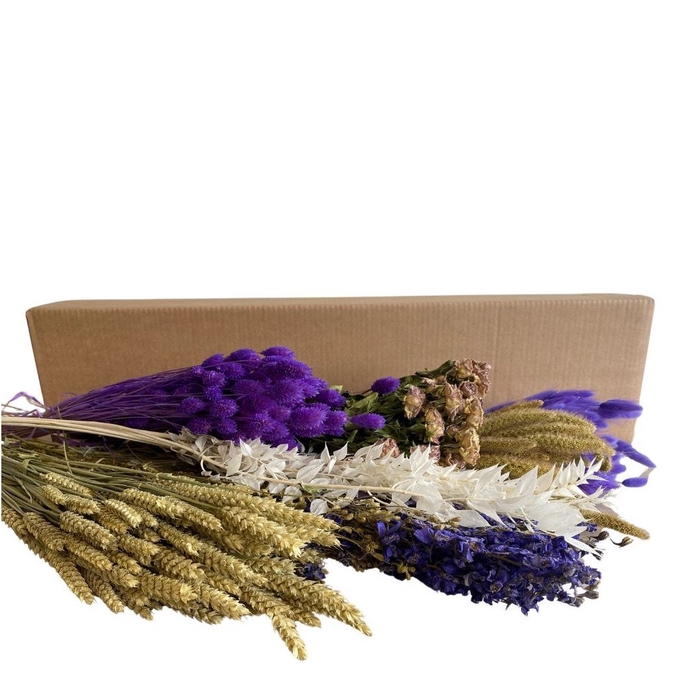 <h4>Dried flowers DIY box assorti 65-75cm</h4>