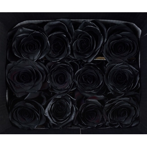 R GR MONDIAL TINTED BLACK EQ