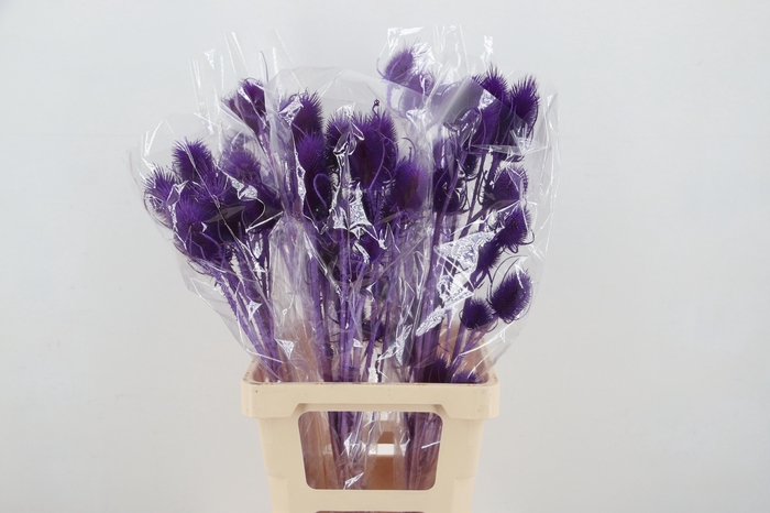 <h4>DROOGBL BEWERKT H%</h4>