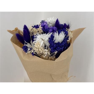 Dr Bqt Bleach Small Purple