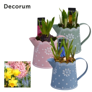 Bollenmix Lindsey HL15053B