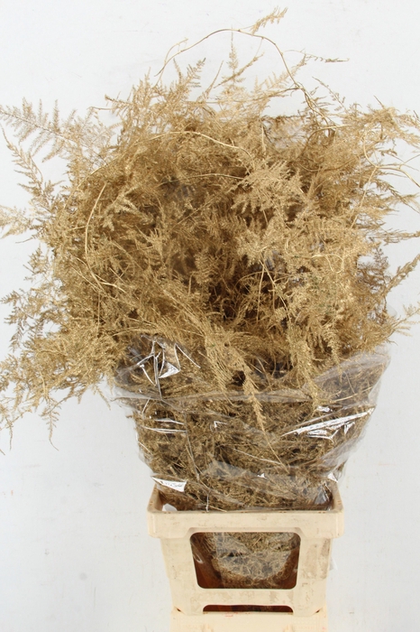 <h4>ASP OV KLB H%</h4>