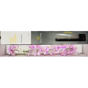 PHAL OV PER BLOEM