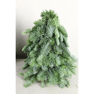 Tree Nobilis Natural 30cm