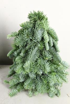 <h4>Tree Nobilis Natural 30cm</h4>