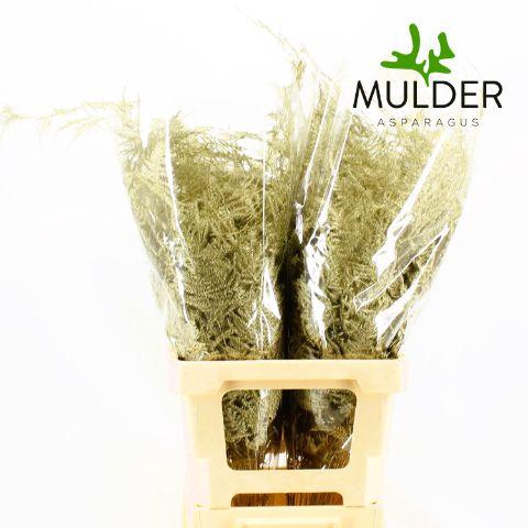 <h4>ASP OV KLB H%</h4>