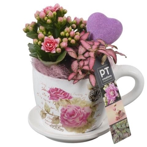 PTVMB2263 Arrangement Valentines-Mothersday in keramiek kop en schotel