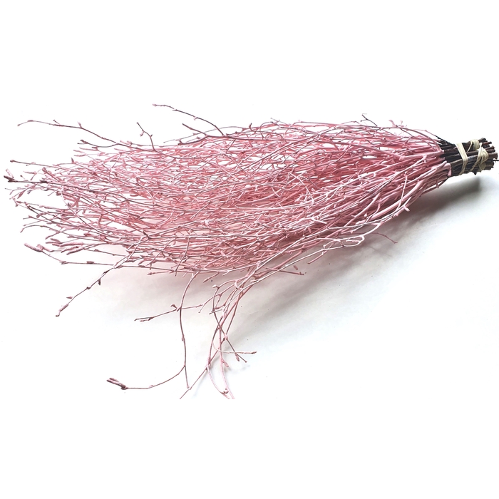 <h4>Birch 70cm 10stems per bunch Light Pink</h4>