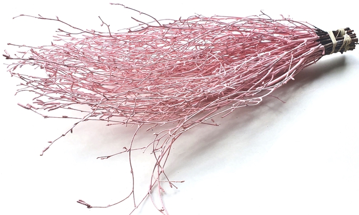 Birch 70cm 10stems per bunch Light Pink