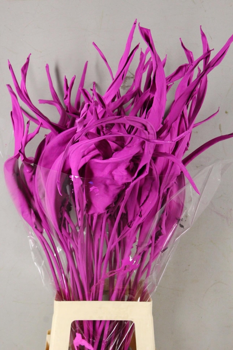 <h4>DF Strelitzia Leaf Erica</h4>