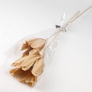 DF Fire Flower 2p 70cm L.Brown