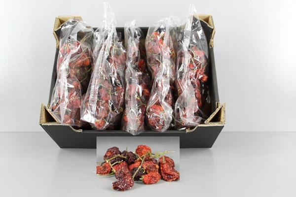 Frt Chilli Small Red (250g)