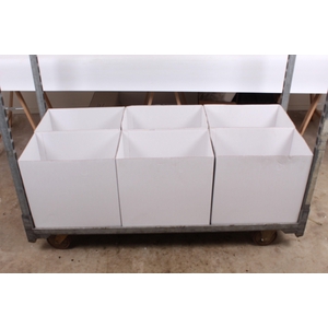 Aeschynanthus Mona Lisa zonder bloem