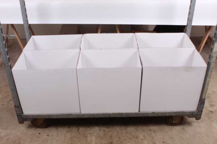 Epipremnum pinnatum hang