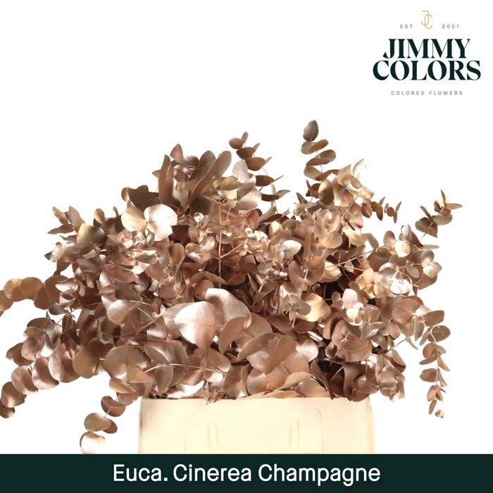 <h4>Cinerea per bos 200g Champagne</h4>