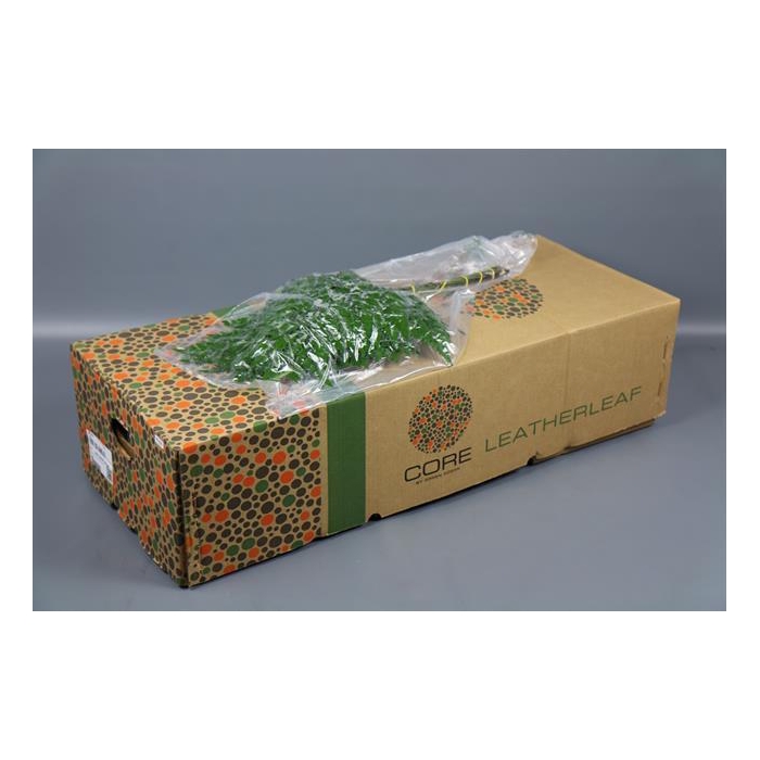 <h4>LEDERVAREN EXTRA VACUUM CORE</h4>