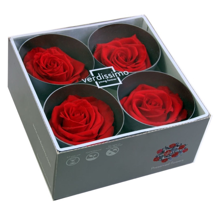 <h4>Roos Premium Rood</h4>