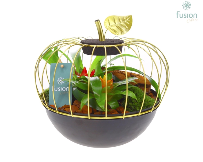 <h4>Appel metaal goudzwart Large met Bromelia</h4>