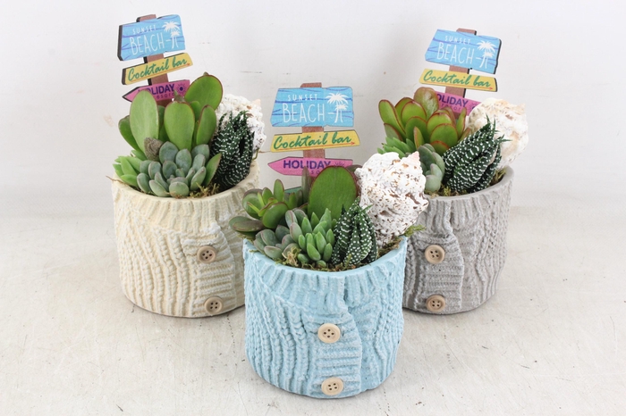 <h4>arr3 AD - Sunset beach x4</h4>