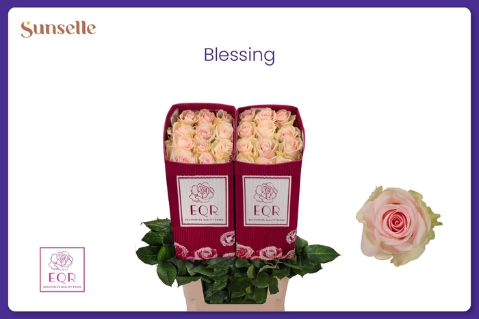 <h4>R GR BLESSING</h4>