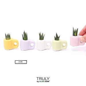 TRULY Succulent, Mug Color Mini