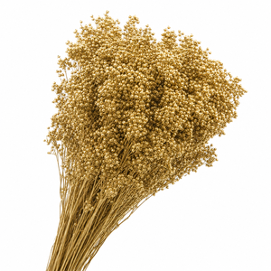 Dried Pepper Berries Gold