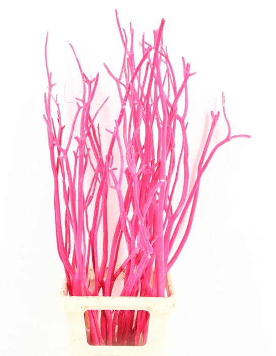 <h4>MITSUMATA H%</h4>