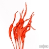 Dried Strelitzia 10pc Red Bunch Slv