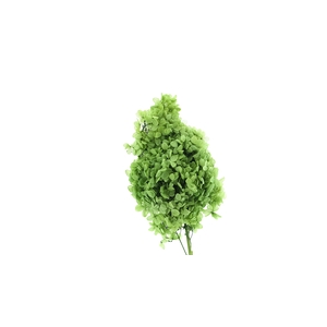 Dried Bleached Hydrangea Tower Dark Green XXL