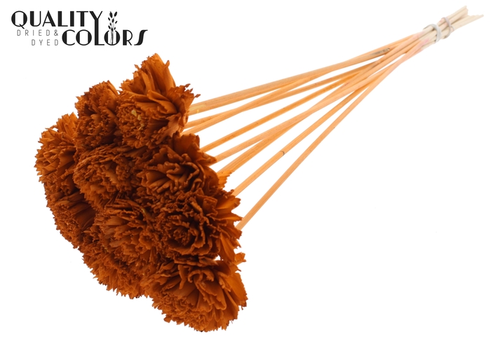 Shola Karnish Flower 6cm on stem Terracotta