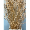 Salix Golden Curls Klb Zalm