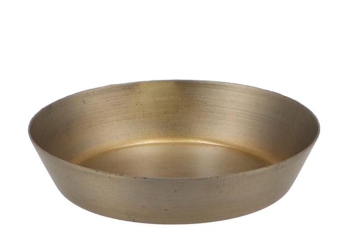 <h4>Amber Schaal Gold 10x2cm P/1 Nm</h4>