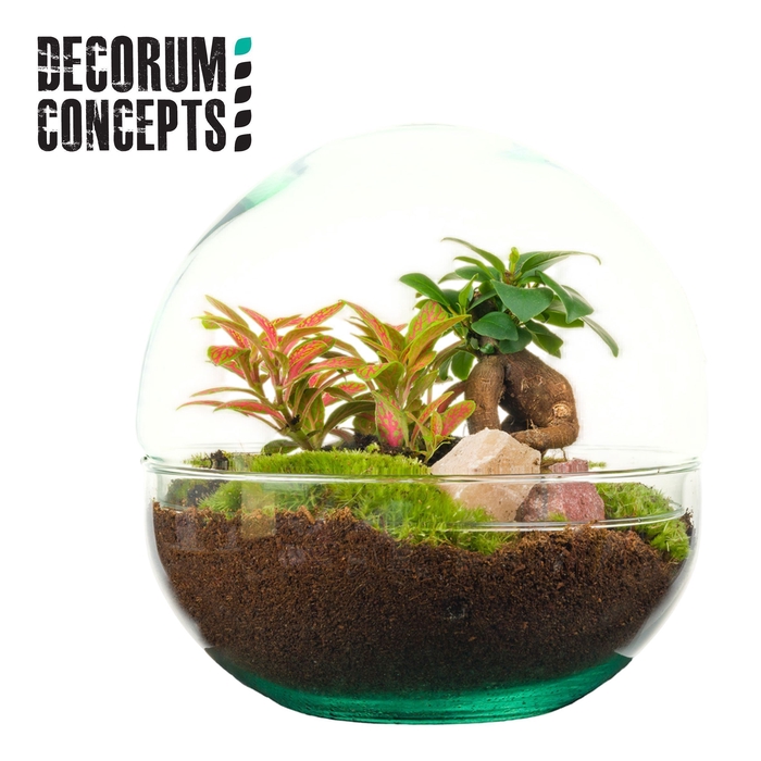 <h4>Terrarium Earth medium (Decorum concepts)</h4>